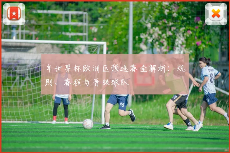 年世界杯欧洲区预选赛全解析：规则、赛程与晋级球队