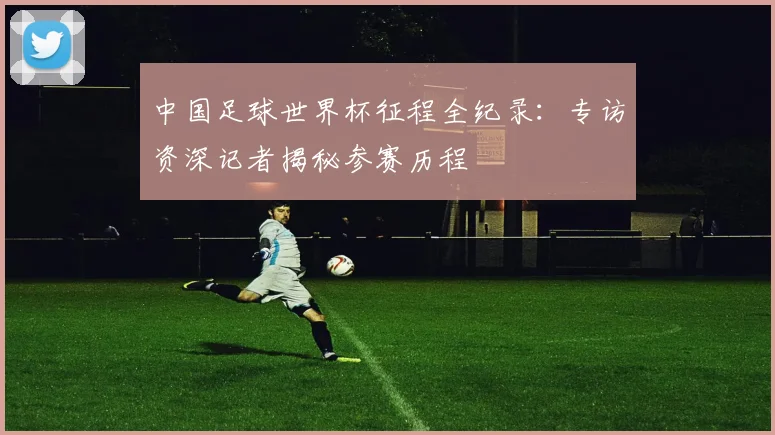 中国足球世界杯征程全纪录：专访资深记者揭秘参赛历程