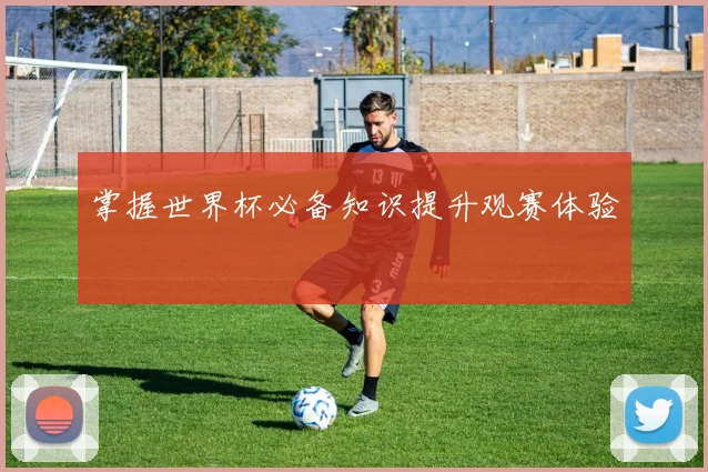 掌握世界杯必备知识提升观赛体验