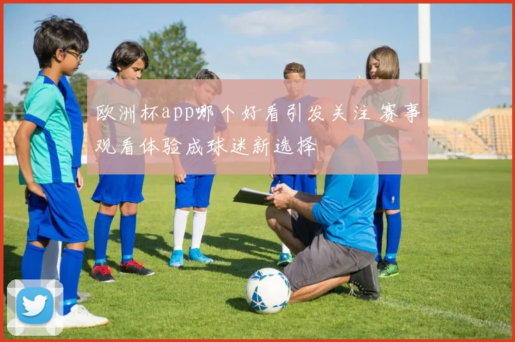 欧洲杯app哪个好看引发关注 赛事观看体验成球迷新选择