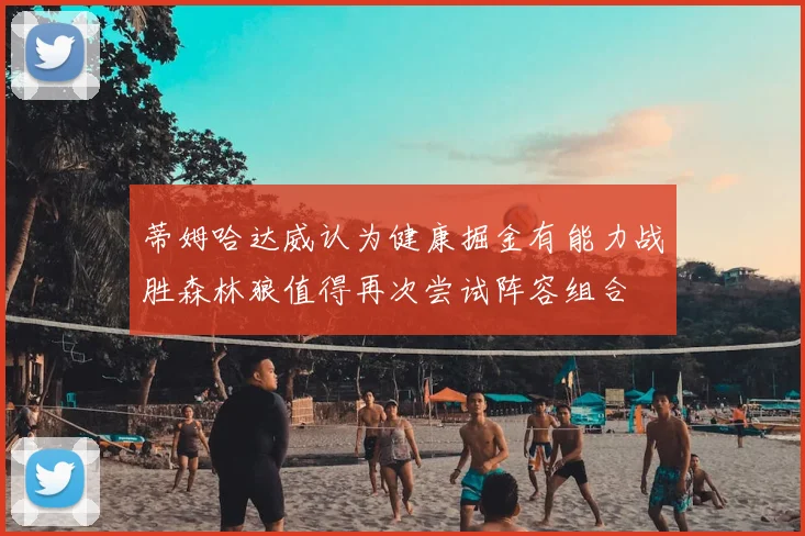 蒂姆哈达威认为健康掘金有能力战胜森林狼值得再次尝试阵容组合