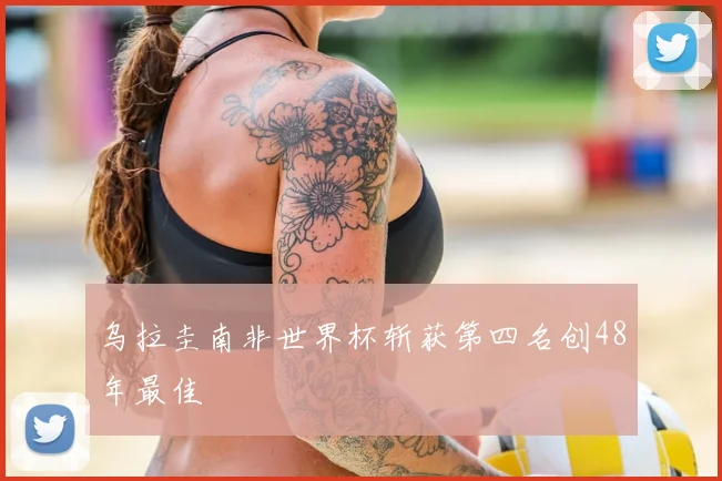 乌拉圭南非世界杯斩获第四名创48年最佳