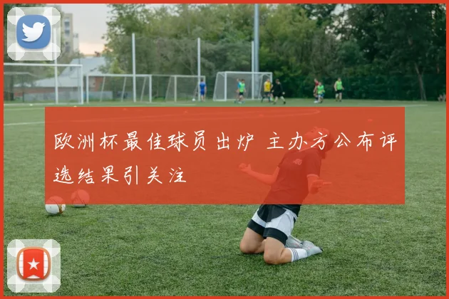欧洲杯最佳球员出炉 主办方公布评选结果引关注