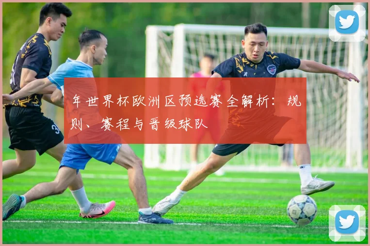 年世界杯欧洲区预选赛全解析：规则、赛程与晋级球队