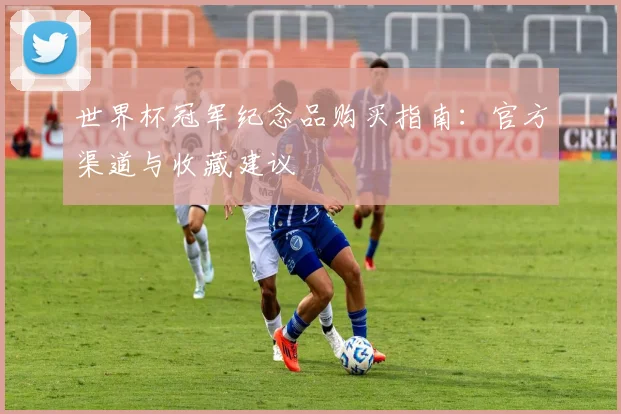 世界杯冠军纪念品购买指南：官方渠道与收藏建议