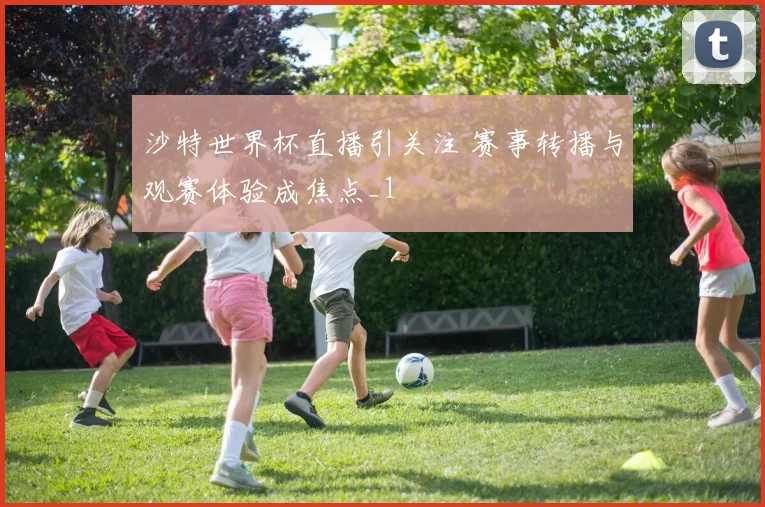 沙特世界杯直播引关注 赛事转播与观赛体验成焦点_1