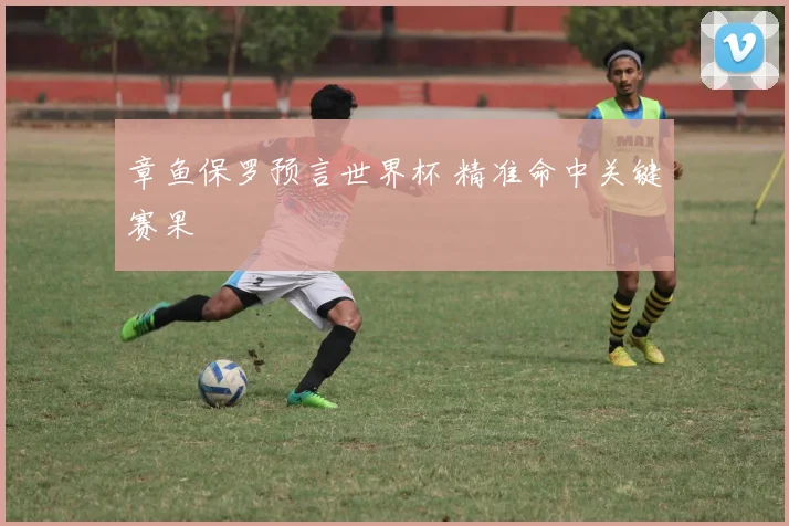 章鱼保罗预言世界杯 精准命中关键赛果